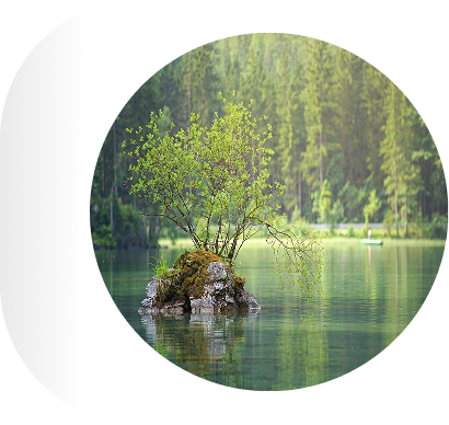 Racially Sensitive Trauma Informed Therapy (RSTIT)